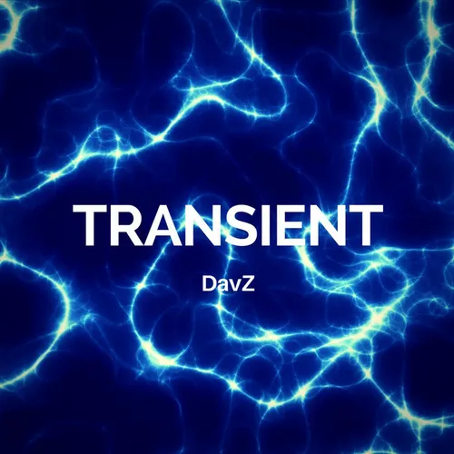 Artwork for Transient